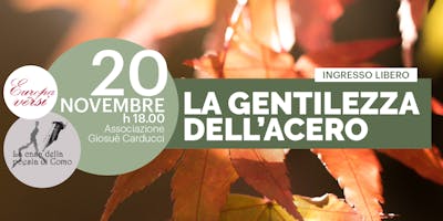 La Gentilezza dell'Acero | Dialogo con l'autore La Gentilezza dell'Acero | Dialogo con l'autore