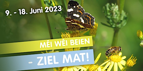 Insect Census: Méi wéi Beien – ziel mat! | by natur&ëmwelt