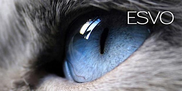ESVO Webinar Series: Diagnostic Imagine 2