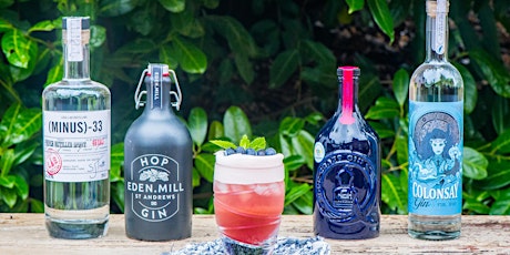 Wee G&T Festival 2019 (Perth) - Gin Festival primary image