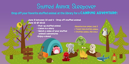 Stuffed Animal Sleepover June 9th and 10th primary image