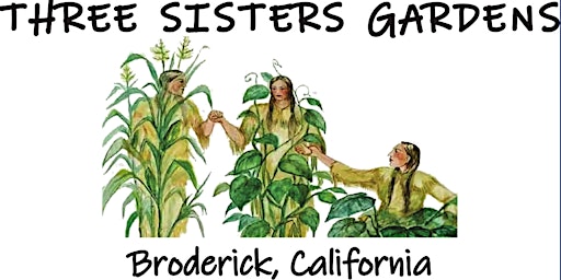 Three Sisters Gardens- CAES Volunteering Event primary image