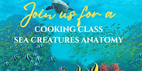 Sea creatures anatomy cooking class