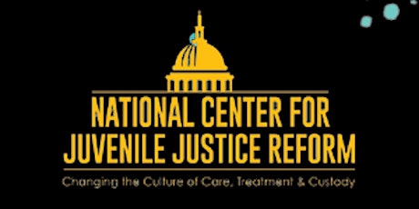 National Center for Juvenile Justice Reform Antiviolence Summit
