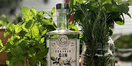 Forage Your Own Gin with McClintock Distilling