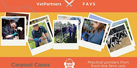 Carpool Cases - Practical Pointers from Front Line Farm Vets