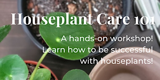 Image principale de Houseplant Care 101 Workshop & Plant Swap!