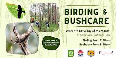 Birding & Bushcare at Scheyville National Park