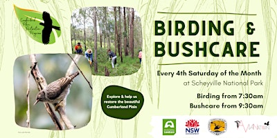 Immagine principale di Birding & Bushcare at Scheyville National Park 