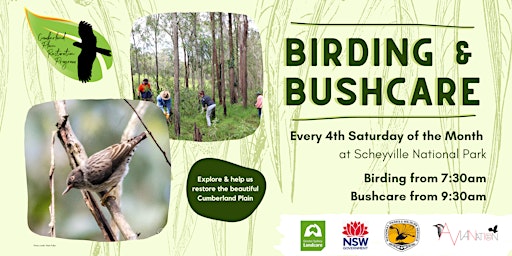 Birding & Bushcare at Scheyville National Park primary image