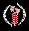 Logotipo de Kūhai Hālau O Nohea
