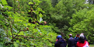 Abbotsford Foraging Workshop- June 9 , 2024 primary image