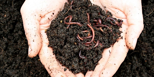 Imagem principal do evento Thinking Green: worm farming in Lockridge