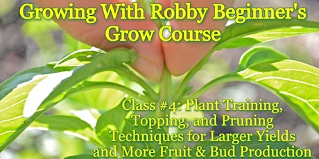 Growing With Robby! Beginner's Grow Course: Class #4 Plant Training Techniques  primary image