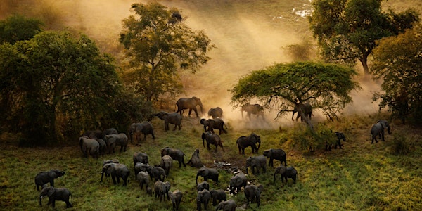 EarthxFilm presents: THE LAST ANIMALS for Movie Monday