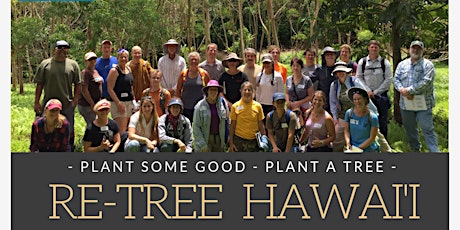 Koa Giveaway! Wahiawa Botanical Garden: Re-Tree Hawaii - with Koa! Residential Tree Planting Workshop primary image