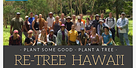 Foster Botanical Garden: Re-Tree Hawaii - with Koa! Residential Tree planting workshop  primary image