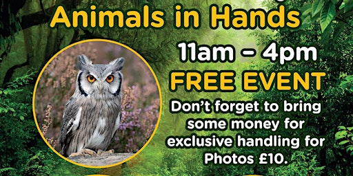 Image principale de Animals In Hands - Come and meet Mo and their exotic family.