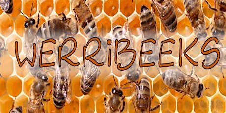 What’s all the Buzz about Bees by WerriBeeks  primary image