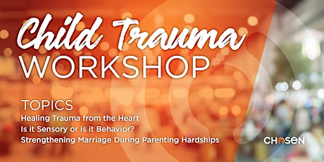 Child Trauma Workshop