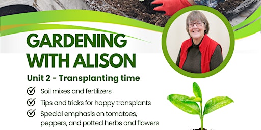 Transplanting Seedings with Alison Juta primary image