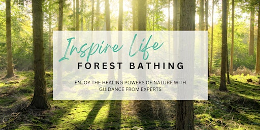 Heal in Nature- FOREST BATHING primary image