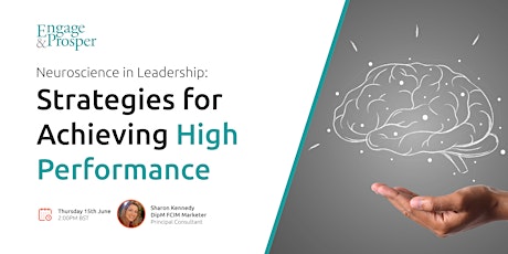 Neuroscience in Leadership: Strategies for Achieving High Performance
