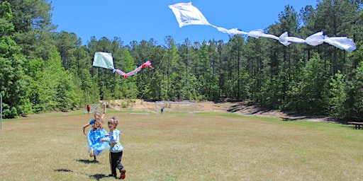 Little Adventures - Up, Up, & Away (Kites) primary image