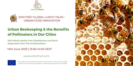 Lunch Talk #9: Urban Beekeeping & The Benefits of Pollinators in Our Cities