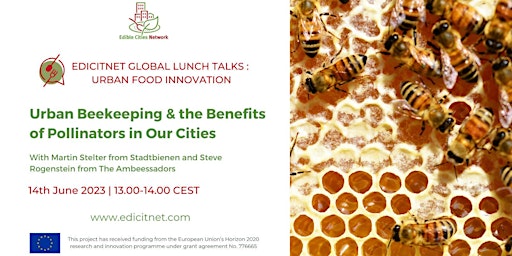 Lunch Talk #9: Urban Beekeeping & The Benefits of Pollinators in Our Cities primary image