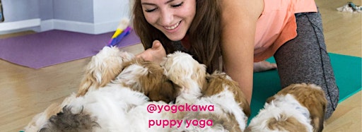 Collection image for The Puppy Yoga by Yoga Kawa Experience