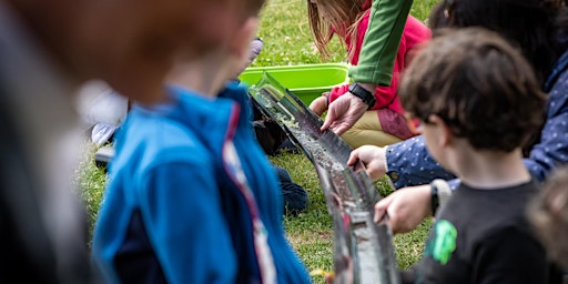 Primaire afbeelding van Mizuiku Family Workshop: Wonderful Water