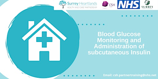 Primaire afbeelding van Blood Glucose Monitoring and Administration of subcutaneous Insulin