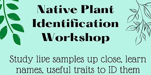 Native Plant ID Workshop primary image