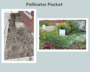 Pollinator Pocket Planting Event