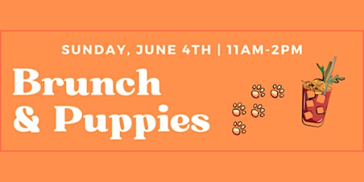 Brunch & Puppies at the Boston Public Market! primary image