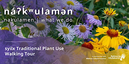 na’ʔk’ʷulamən (what we do): syilx Traditional Plant Use Walking Tour primary image