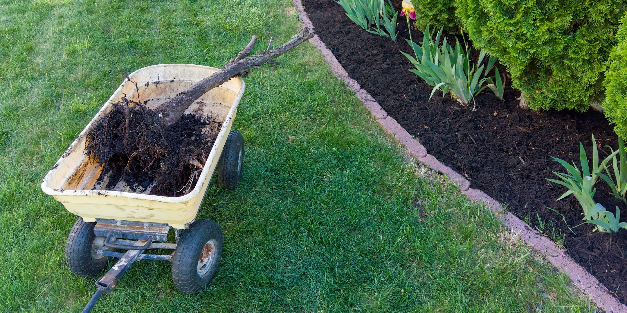 Free In-Store Class: Summer Lawn & Garden Care