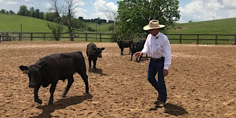 Stockmanship Clinic with Tom Curtin primary image