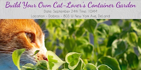 Build Your Own Cat-Lover's Container Garden Class primary image