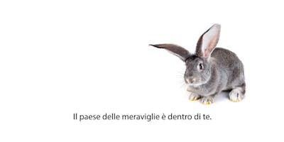 I 5 SEGRETI DELLA COMUNICAZIONE EFFICACE NEL BUSINESS E NELLA VITA QUOTIDIANA I 5 SEGRETI DELLA COMUNICAZIONE EFFICACE NEL BUSINESS E NELLA VITA QUOTIDIANA