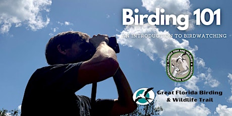 Birding 101 - An Introduction to Bird Watching