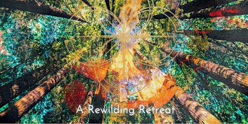 Earth, Fire and Tribe - A Rewilding Retreat primary image