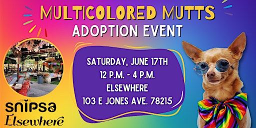 Multicolored Mutts Adoption Event primary image