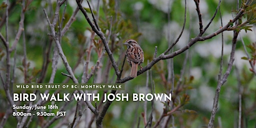 Bird Walk with Joshua Brown primary image