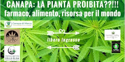 CANAPA: LA PIANTA PROIBITA??!!! farmaco, alimento, risorsa per il mondo CANAPA: LA PIANTA PROIBITA??!!! farmaco, alimento, risorsa per il mondo