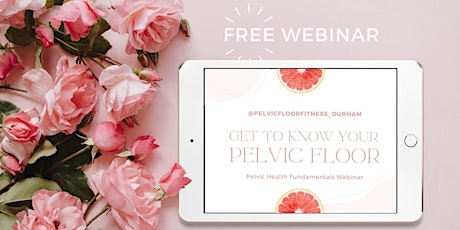 Get to Know YOUR Pelvic Floor
