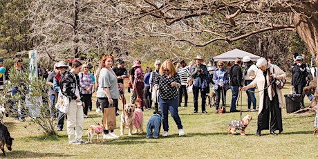 Dog Day at Norman Lindsay Gallery