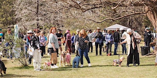 Primaire afbeelding van Dog Day at Norman Lindsay Gallery