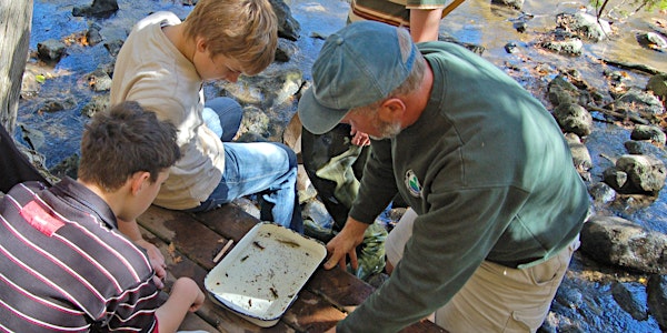 Home School Forest Fridays